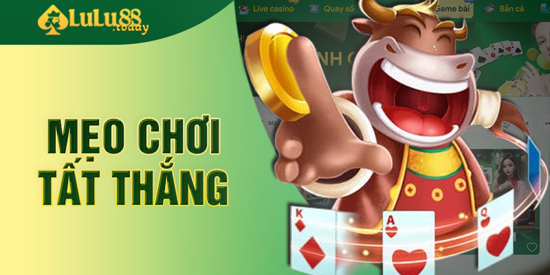 Mách bạn mẹo chơi Phỏm tất thắng